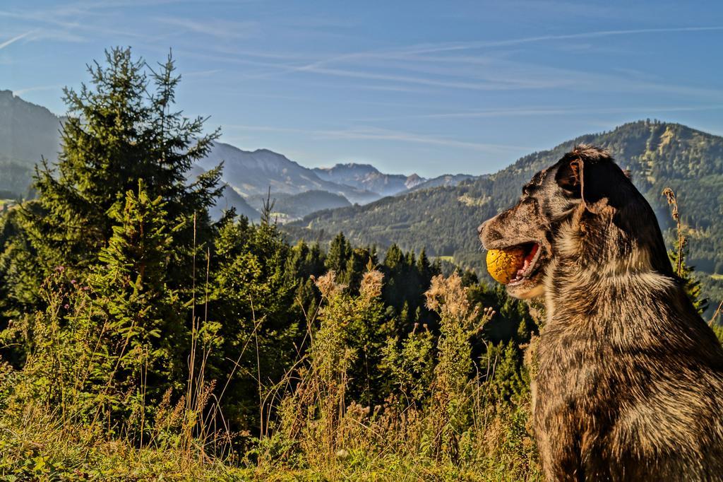 Alpenhof Reuterwanne Hotel Wertach Eksteriør billede